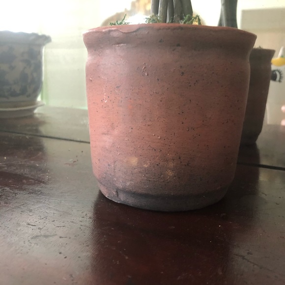 SOLD Pair of dried/petrified boxwood topiaries - Picture 4 of 6